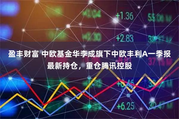 盈丰财富 中欧基金华李成旗下中欧丰利A一季报最新持仓，重仓腾讯控股