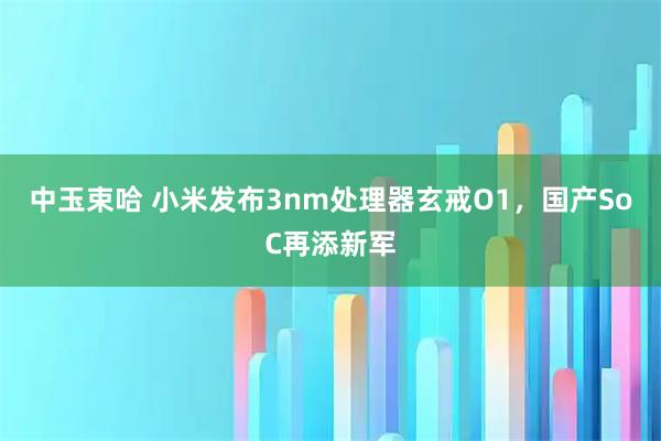 中玉束哈 小米发布3nm处理器玄戒O1，国产SoC再添新军