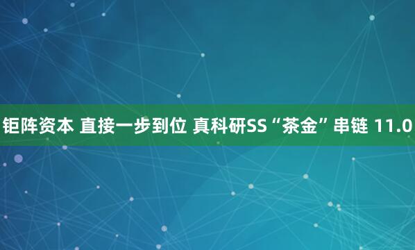钜阵资本 直接一步到位 真科研SS“茶金”串链 11.0