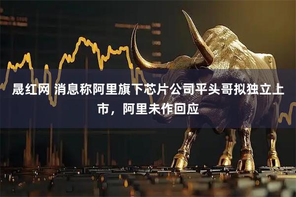 晟红网 消息称阿里旗下芯片公司平头哥拟独立上市，阿里未作回应