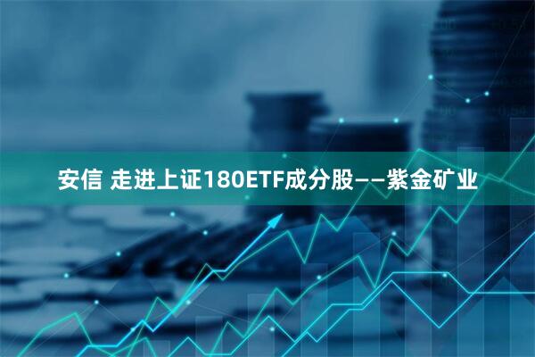安信 走进上证180ETF成分股——紫金矿业